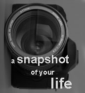A Snapshot of Your LIfe